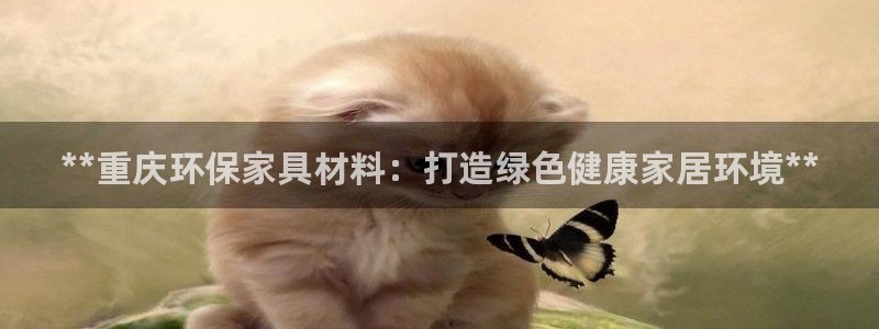 杏耀代理主管qq