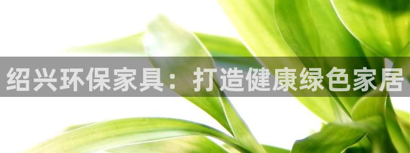 杏耀代理日工资多少
