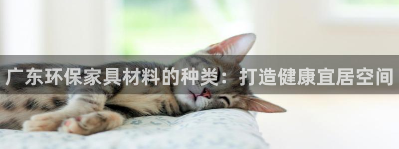 杏耀平台待遇