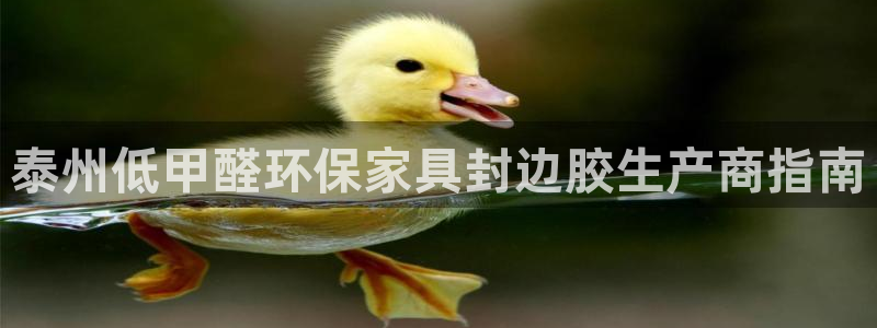 杏耀注册地址：泰州低甲醛环保家具封边胶生产商指南