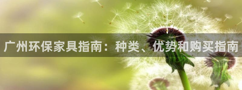 杏耀代理登录中心怎么进：广州环保家具指南：种类、优势和购买指