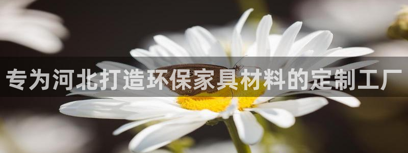 杏耀注册网址：专为河北打造环保家具材料的定制工厂