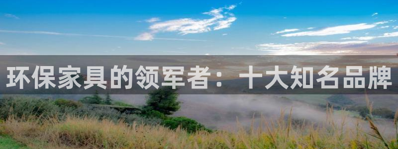 杏耀平台手机登录：环保家具的领军者：十大知名品牌