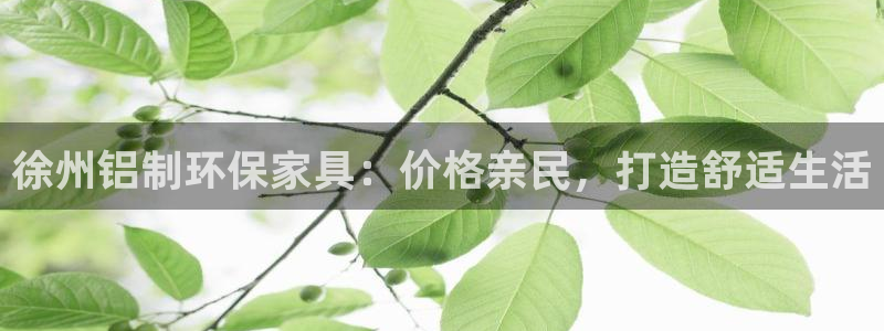 杏耀代理注册中心：徐州铝制环保家具：价格亲民，打造舒适生活