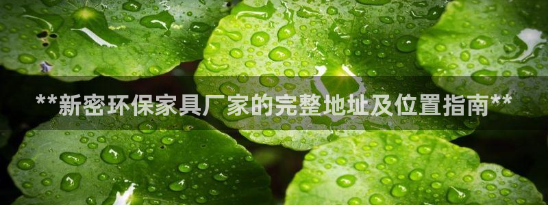 杏耀平台首页登录：**新密环保家具厂家的完整地址及位置指南*