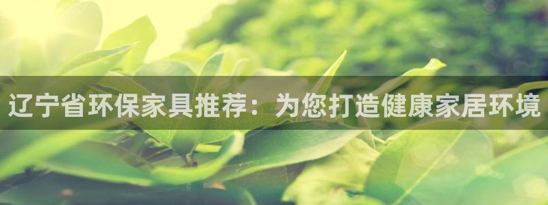 杏耀平台首页登录：辽宁省环保家具推荐：为您打造健康家居环境