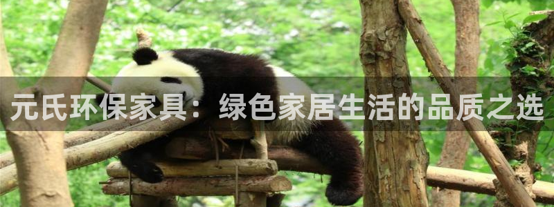 杏耀手机客户端