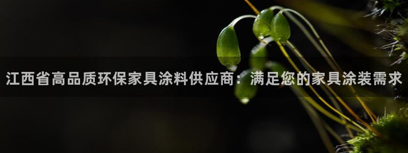 杏耀官网网站中心：江西省高品质环保家具涂料供应商：满足您的家