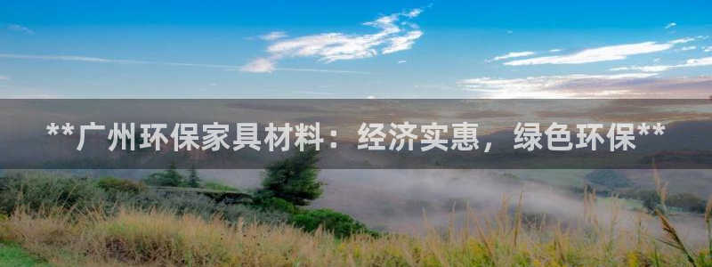 杏耀平台没有了：**广州环保家具材料：经济实惠，绿色环保**