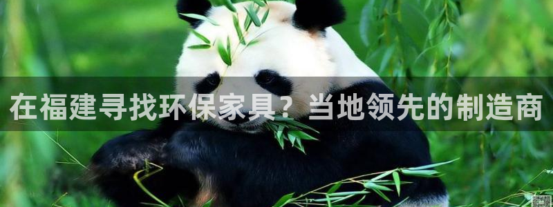 杏耀3注册：在福建寻找环保家具？当地领先的制造商
