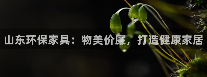 杏耀平台地址：山东环保家具：物美价廉，打造健康家居