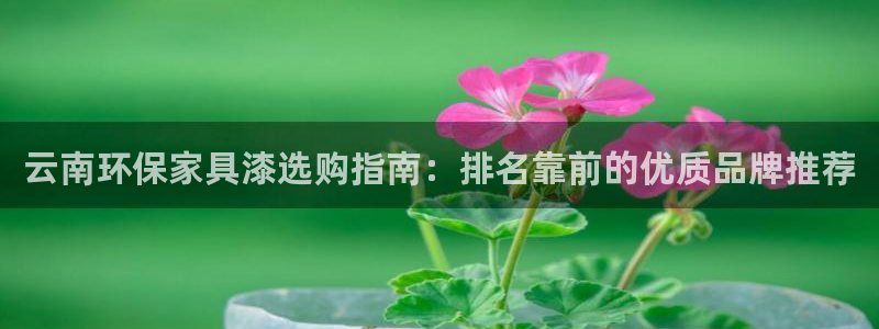 杏耀平台指定
