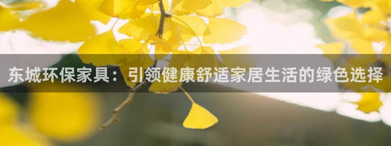 杏耀平台怎么注册：东城环保家具：引领健康舒适家居生活的绿色选