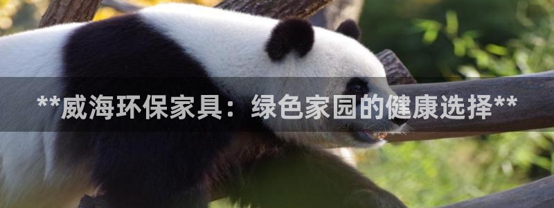 杏耀平台测速登陆：**威海环保家具：绿色家园的健康选择**