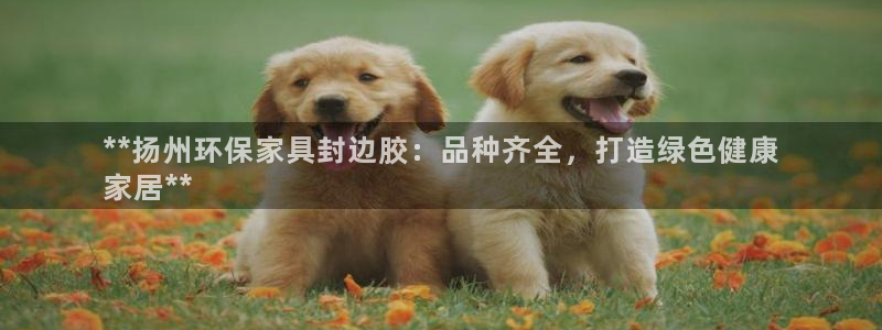 杏耀官网客服：**扬州环保家具封边胶：品种齐全，打造绿色健康
