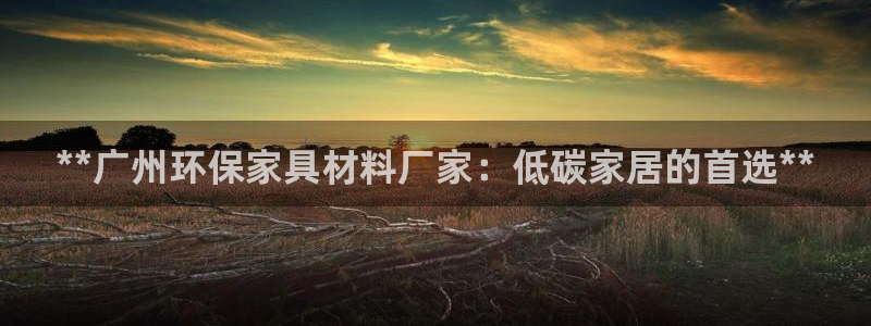 杏耀官网主管：**广州环保家具材料厂家：低碳家居的首选**