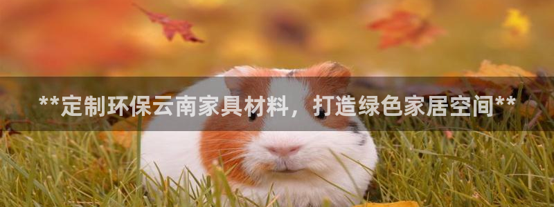 杏耀平台服务中心怎么样