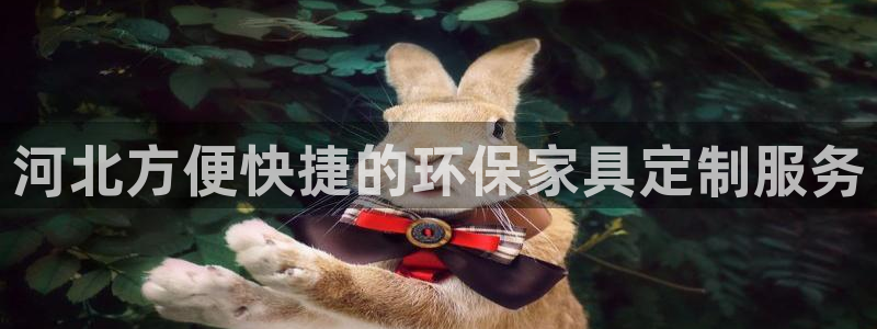 杏耀平台下载：河北方便快捷的环保家具定制服务