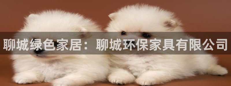 杏耀平台官方网站：聊城绿色家居：聊城环保家具有限公司