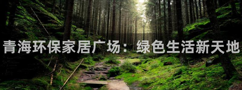 杏耀登录网页：青海环保家居广场：绿色生活新天地