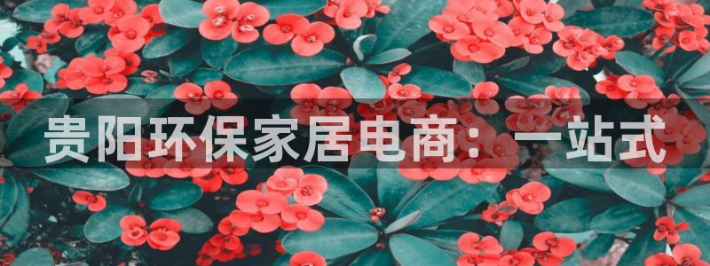 杏耀登入官网：贵阳环保家居电商：一站式