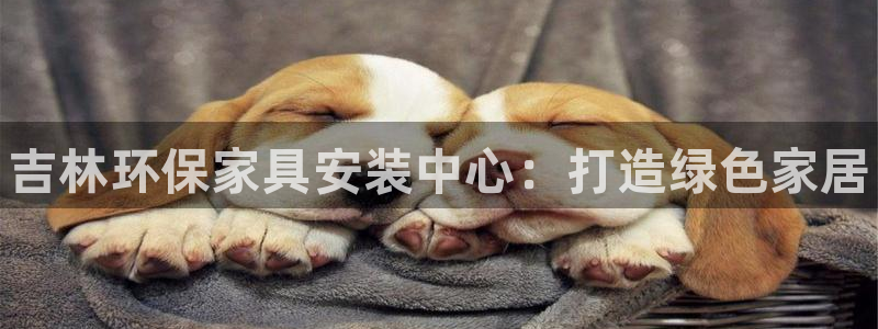 杏耀平台首页：吉林环保家具安装中心：打造绿色家居