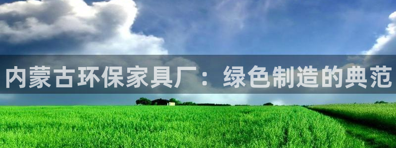 杏耀注册主管：内蒙古环保家具厂：绿色制造的典范